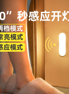 人体感应灯led小夜灯充电款橱柜卧室床头衣柜厨房灯管起夜过道灯