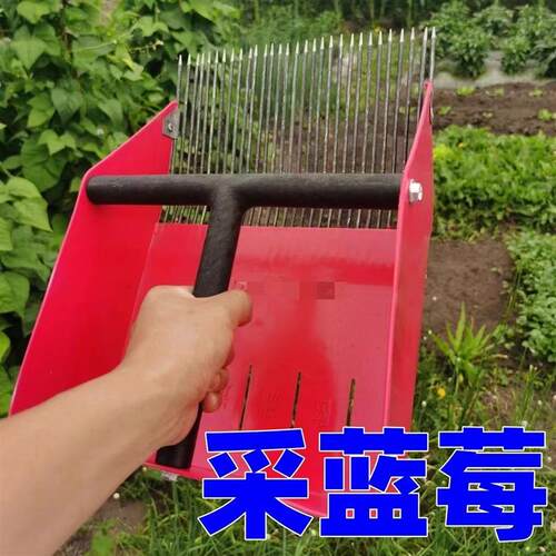 新款蓝莓采摘器多功能采摘神器果子酸枣山枣樱桃桑葚园林工具大棚