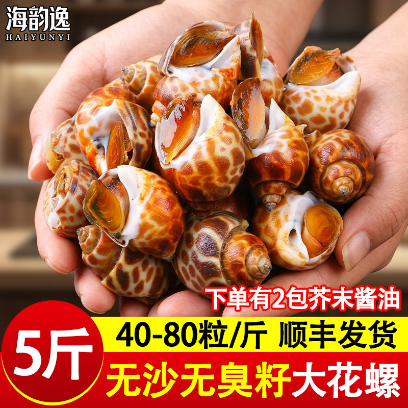 海韵逸花螺冷冻鲜活特大号新鲜翡翠螺海螺香螺类贝类烧烤商用批发