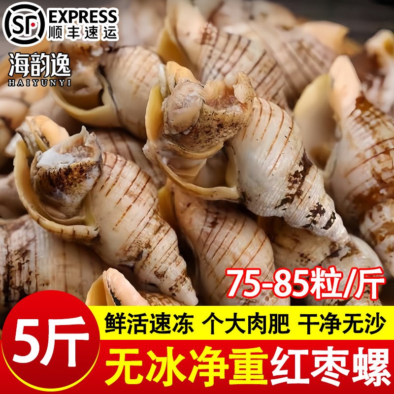 贝贝螺白玉螺小海螺鲜活速冻螺类海瓜子红枣螺海鲜水产批发香辣螺