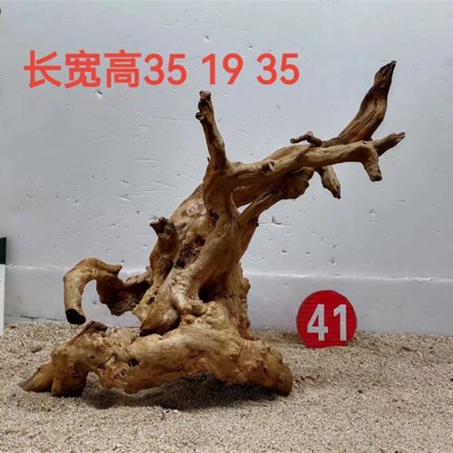 杜鹃根草缸造景素材一木成景水陆缸雨林缸沉木树型莫斯树骨架水草