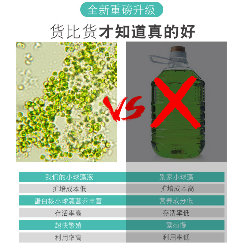 小球藻藻种浓缩绿藻硅藻藻种绿水复合藻种水产养殖鱼缸培养基肥水