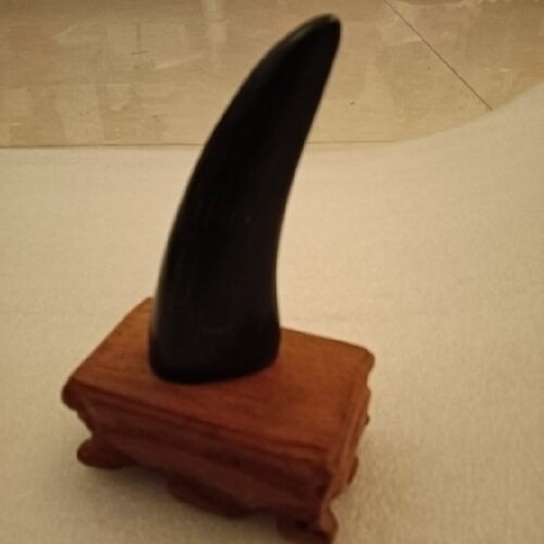 黑牛角九宫八卦圣卦道法器真牛角卦