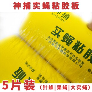 神捕瓜果实蝇粘胶板针蜂桔小实蝇诱粘剂大实蝇粘虫板果园黄板