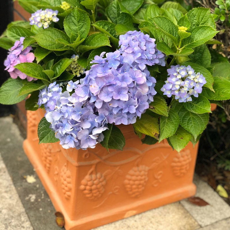 包邮红陶花盆园艺方盆长方形长条欧式阳台种菜粗陶盆特大号陶土盆