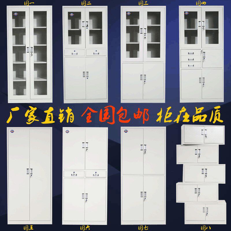 钢制文件玻璃档案柜办公室书柜铁皮柜带锁储物柜凭证资料柜子包邮