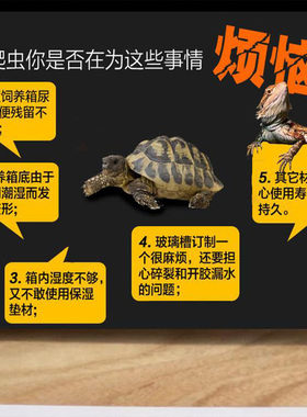 亚克力陆龟箱爬宠虫箱防水槽托盘防潮防湿爬宠蜥蜴刺猬木箱防湿