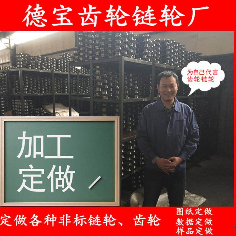 链轮定做双排链轮小链轮链条机械传动工业大链轮齿轮单排链轮加工