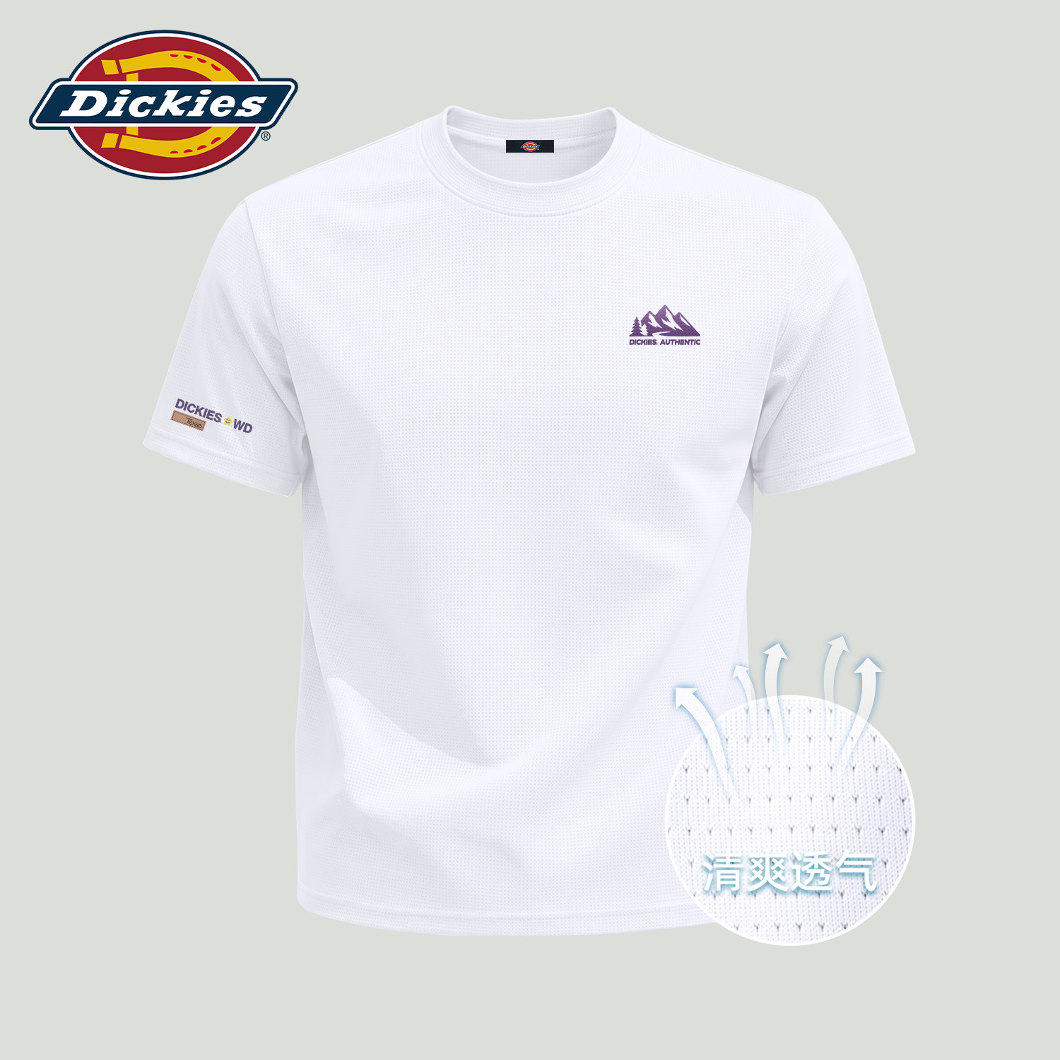 Dickies冰丝凉感短袖T恤男士