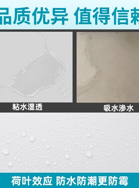 补墙膏墙面修补白色墙壁白墙修复腻子防水防潮防霉天花板补洞神器