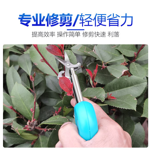 锋易达采果剪稀果剪葡萄疏花剪修花修枝剪柑橘子花椒采摘摘果剪刀