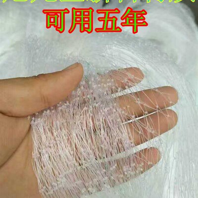 防鸟网 葡萄网枸杞网池塘泥鳅网果园 阳台稻谷网尼龙网防雹网天网