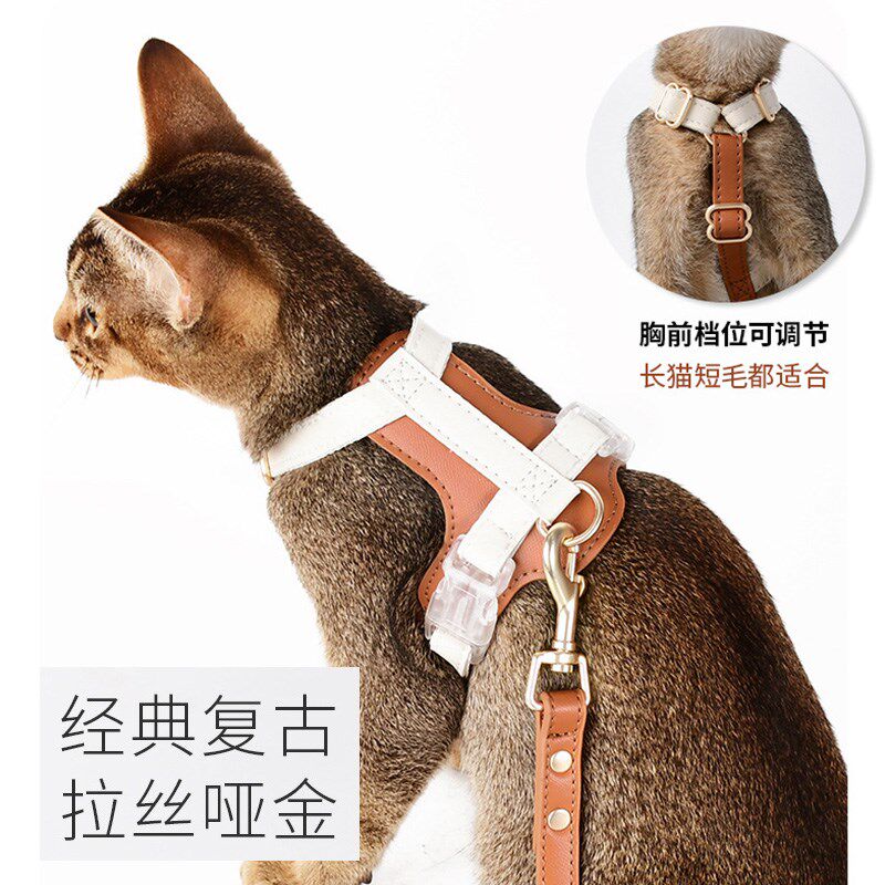 猫咪牵引绳防挣脱外出专用工字形背心式高皮革档蓝猫缅因猫德文