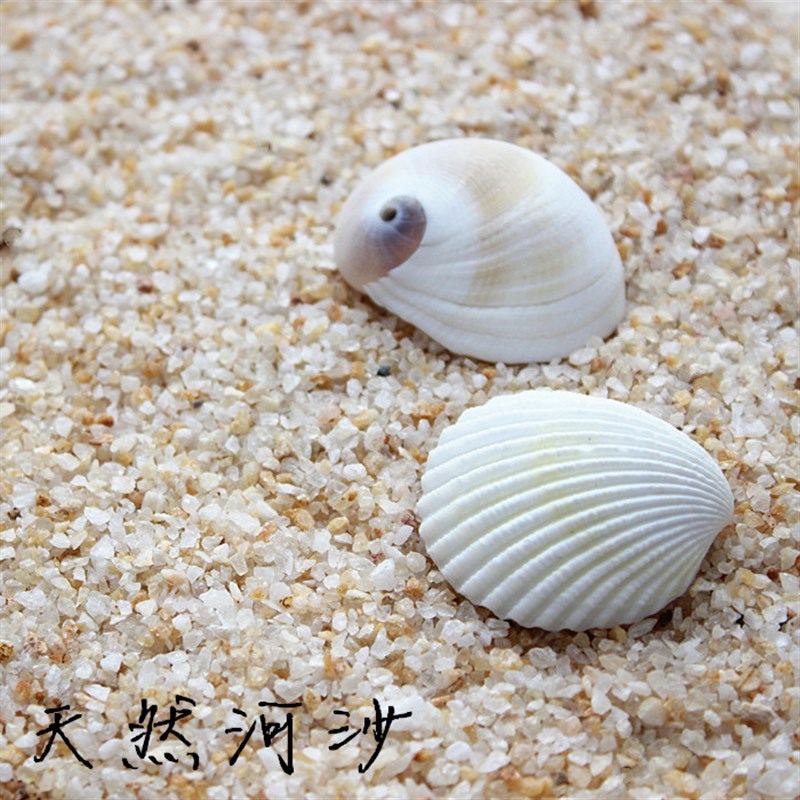 鱼缸底沙白沙子细沙石英砂五彩石天然河沙需要清洗造景装饰底砂图片
