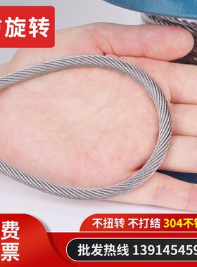 304不锈钢防旋转钢丝绳吊机起重专用电动葫芦不缠绕吊车防扭钢绳