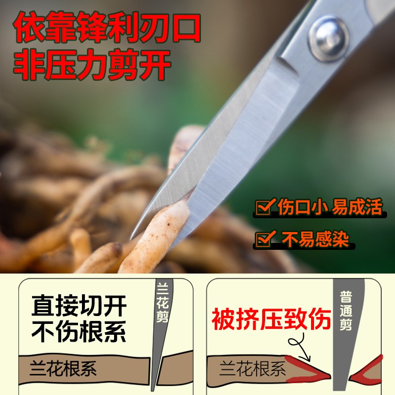 专用不锈钢工具造型盆景修芽剪叶芽剪分苗修剪修枝剪刀兰花兰花剪