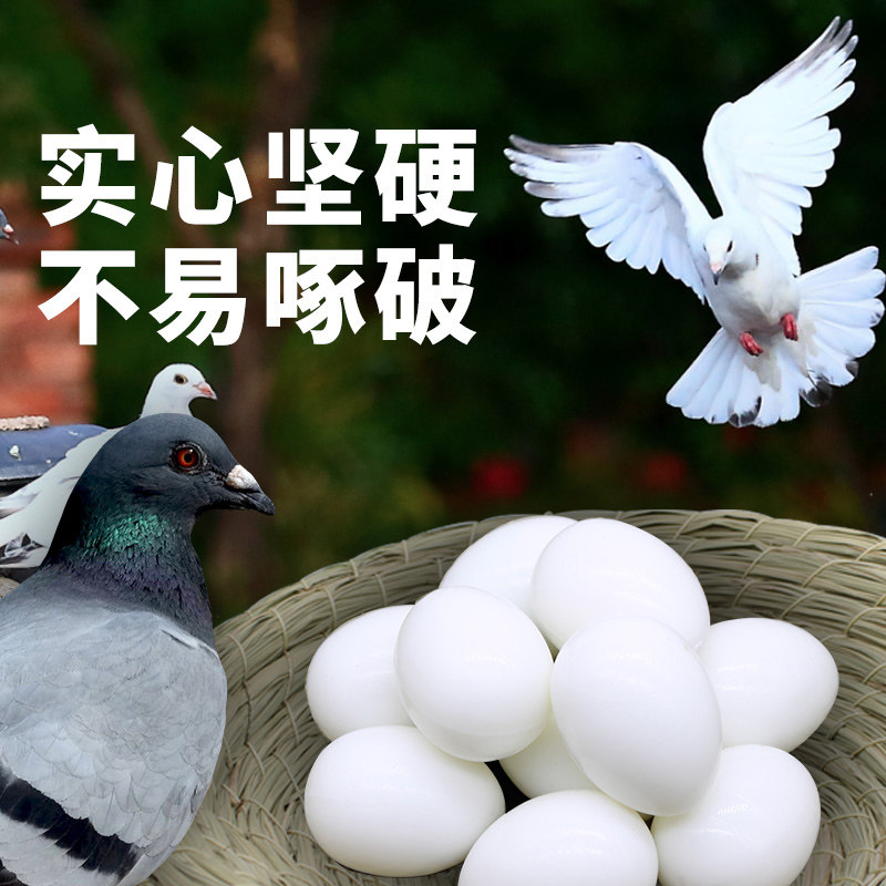 鸽子用品鸽具假鸽子蛋非注水实心塑料鸽子假蛋鸽子用品孵卵鸽用品