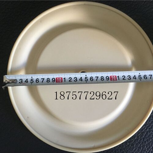 BSK气动隔膜泵隔膜片派沙克A50AL-P99-A 2寸泵膜片6294-1 外径290