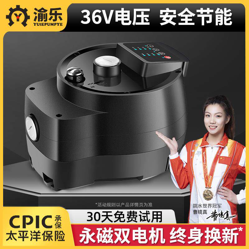 渝乐36V智能永磁电机自吸泵全自动屏蔽泵增压泵家用全屋增压