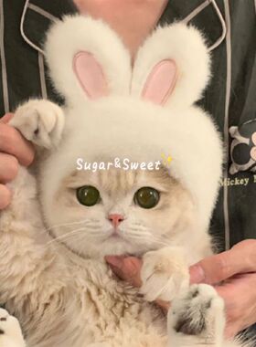 宠物兔子头套猫咪狗狗网红兔兔帽可装扮兔耳朵帽子拍照饰品新款