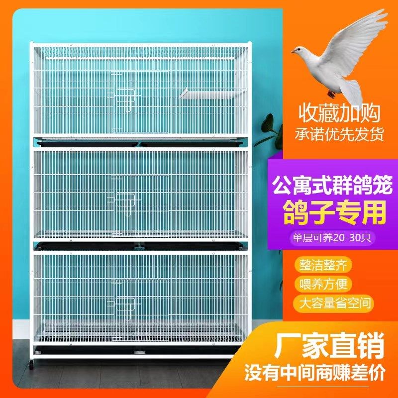 鸽子笼家用配对笼观赏鸽信鸽元宝鸽加大空间加密防黄鼠狼展示笼子
