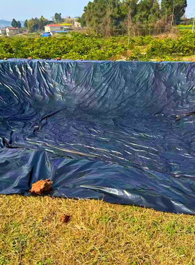 鱼塘防渗膜土工膜蓄水池防漏鱼池护坡防水布养殖专用黑色塑料地膜