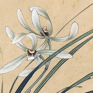张大千兰花图卷轴条幅挂画国画花鸟名画复制品中式书房玄关装饰画