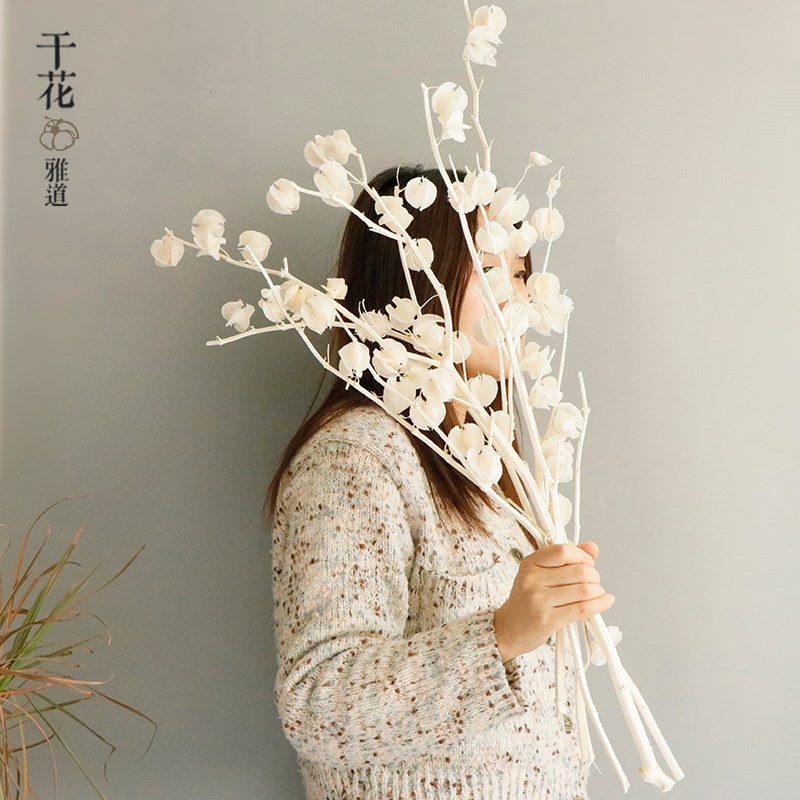 风铃果干花真花灯笼果家居软装插花婚庆花材北欧高级白色奶油风图片