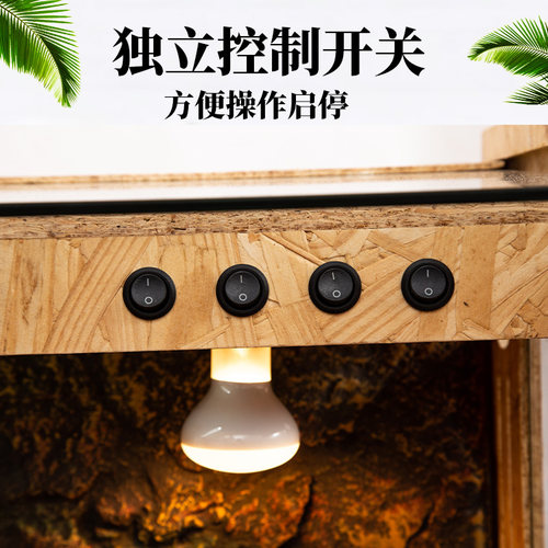 宠物箱子爬虫箱黄缘龟保温箱半水龟陆蜥蜴守宫寄居蟹鬃狮饲养箱
