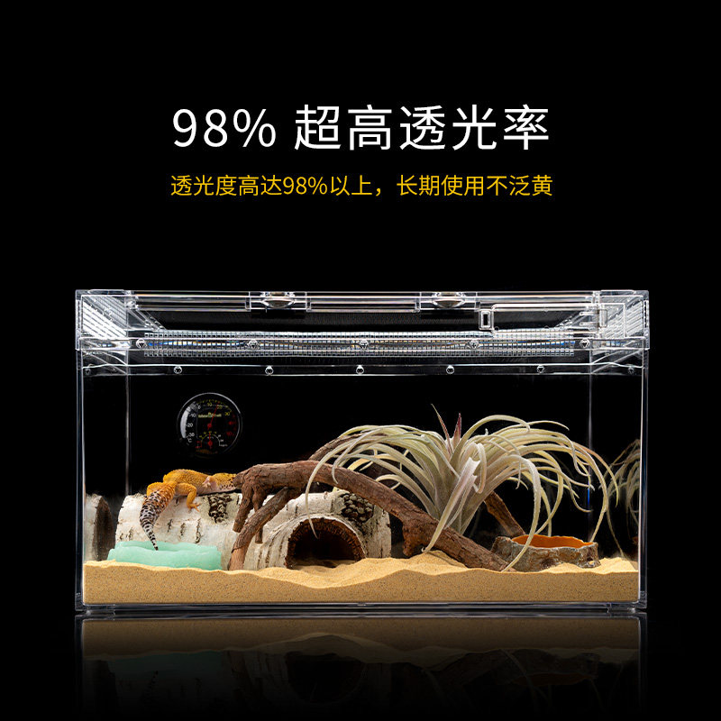 BG生态雨林沙漠爬宠饲养箱角蛙蜘蛛蠍子鬃狮蜥蜴守宫蛇造景饲养盒