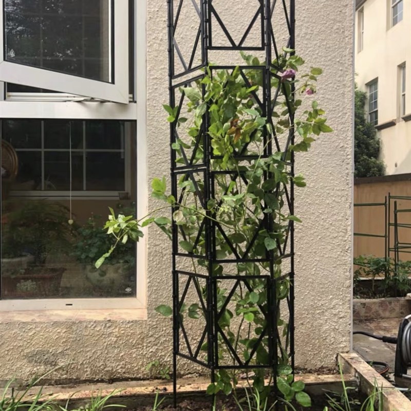 包塑园艺花支撑架网格爬藤植物架子铁线莲月季攀爬架庭院阳台靠墙