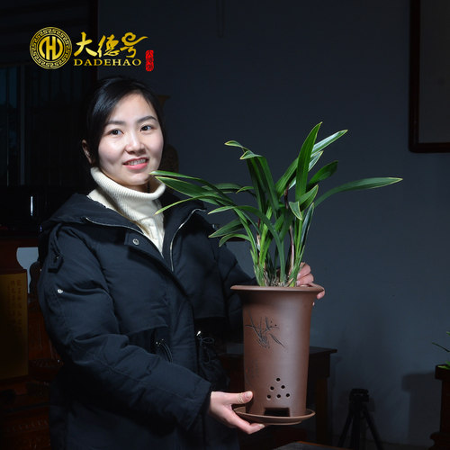 直口紫砂兰花花盆陶瓷君子兰兰草兰花专用盆家用带托盘宜兴纯手工