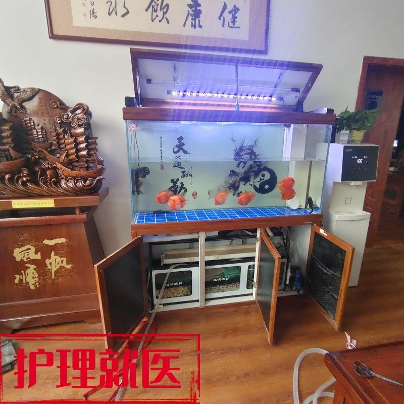 鱼缸清洗造景养护换水托管维修更换过滤配件上门组装订做鱼看病理