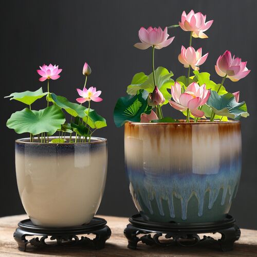 铜钱草水培花盆无孔器皿荷花缸专用陶瓷水仙花水养一叶莲碗莲桌面