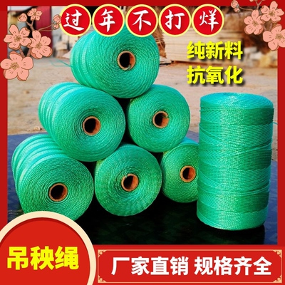 大棚吊秧绳手工蔬菜黄瓜塑料绳聚乙烯尼龙绳爬藤拉绳草吊蔓植物拉