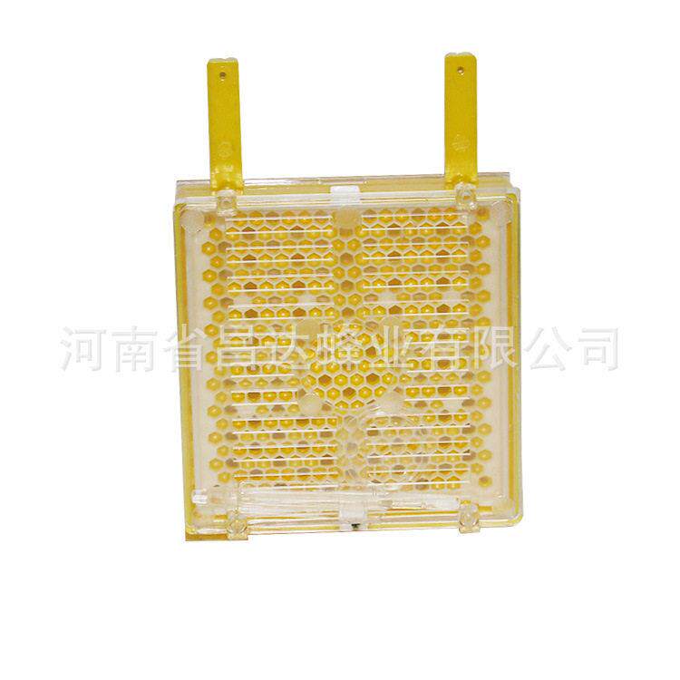养蜂育王盒欧式蜂王培育盒套装蜂王笼王台移虫盒育王套盒养蜂