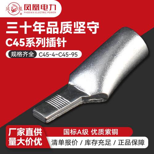 C45紫铜空开插针接线端子 国标4-50平方电子电工配件