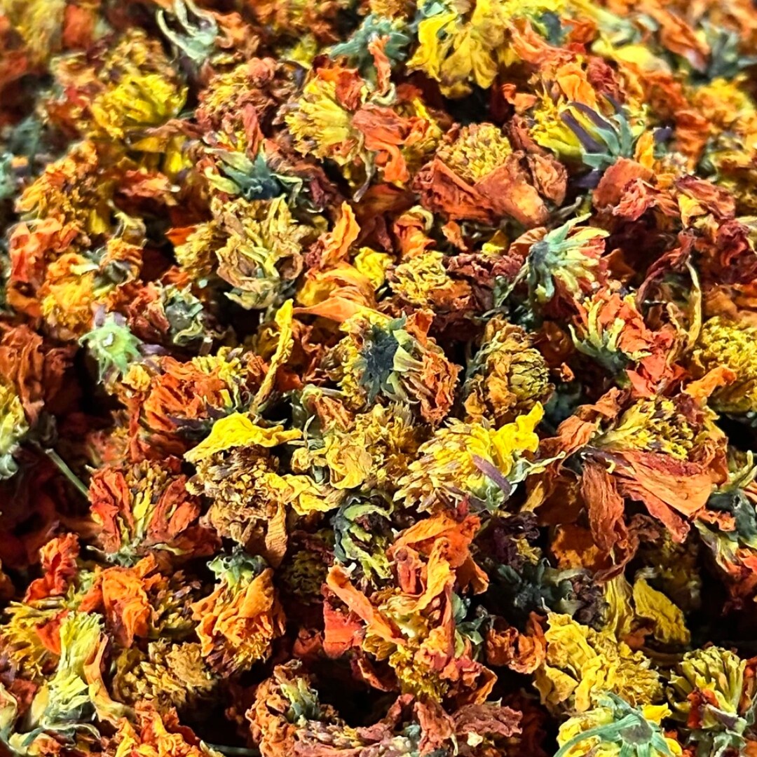 【善小舟】新疆天山冰菊雪菊胎菊正品高山雪菊冰山雪菊茶泡水煮茶