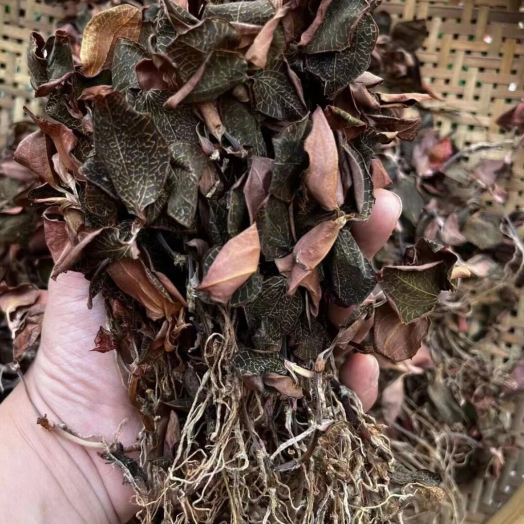 【善小舟】福建南靖林下金线莲整株50克干货煮水煲汤滋补仿野生