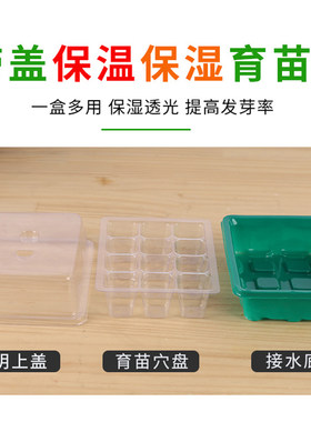 专用育苗神器穴盘扦插盆营养杯塑料钵长方形托盘芽菜多肉盒箱番茄