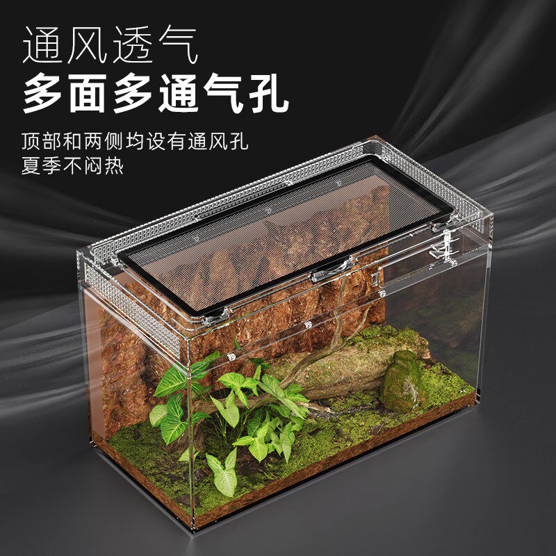 BG亚克力宠物蛇饲养箱养小蛇专用缸雨林造景生态缸爬宠爬虫饲养盒