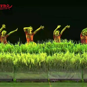 新款第十届小荷风采我们的田野儿童舞蹈表演服装舞台演出服装道具