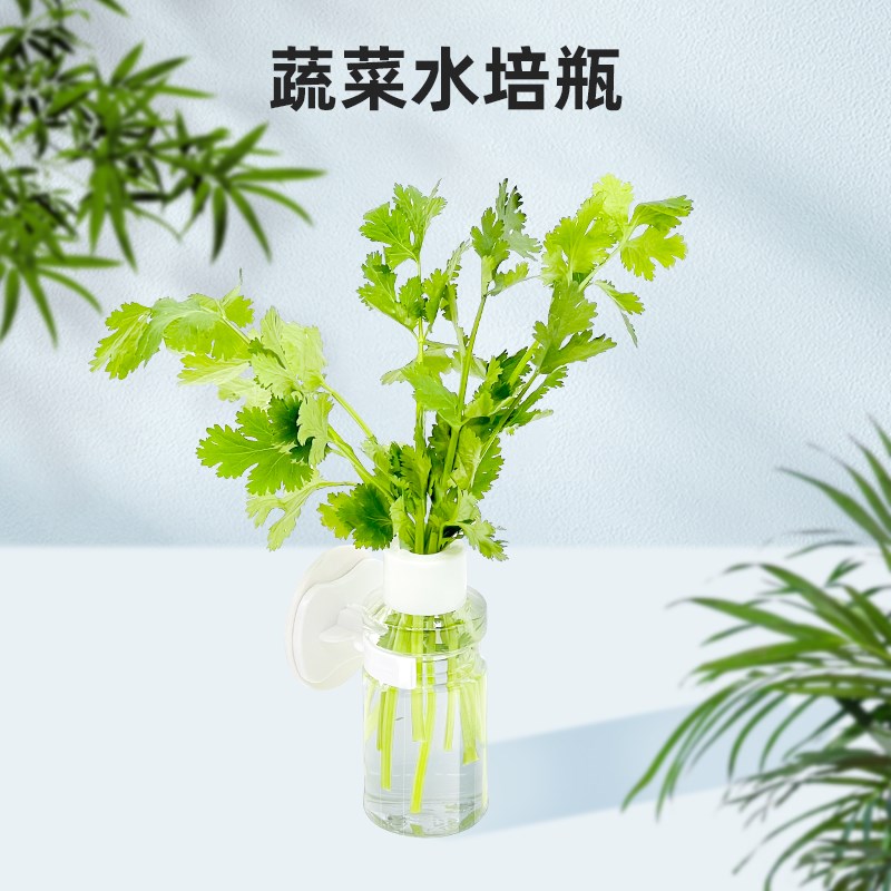 刺星球鹦鹉水培瓶蔬菜豆苗保鲜罐玄凤牡丹虎皮蔬菜蓄水喂食器