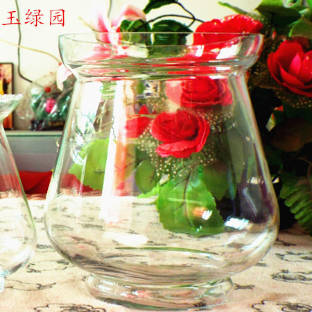 创意室内花卉绿萝水培花盆透明玻璃花瓶盆栽水养植物器皿鱼缸插花