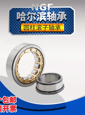 二类圆柱滚子轴承NJ2204 NJ2205 NJ2206 NJ2207 NJ2208 EM 哈尔滨
