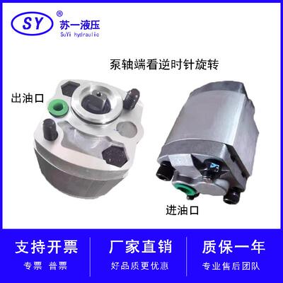 CBK-F125 F130 F133 F132 F140 F148 F153 F158 F180齿轮油泵 BL