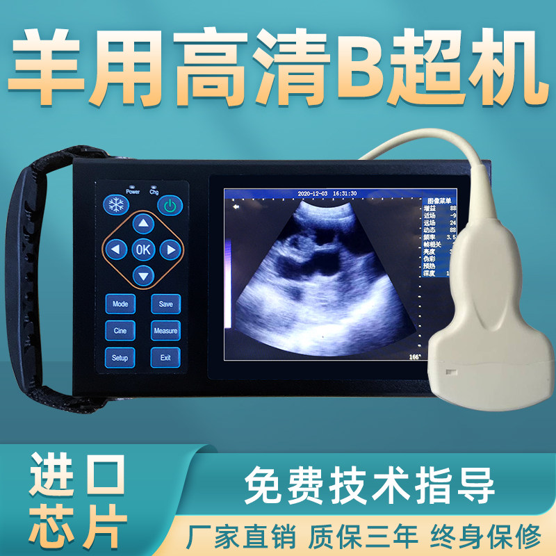 羊用B超机牛羊测孕仪器猪用b超机畜牧兽用b超机高清便携检孕仪