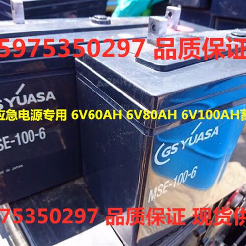 HSE-100-6 HSE-6V60AH船舶设 UPS Battery蓄电池MSE-100-6V100AH