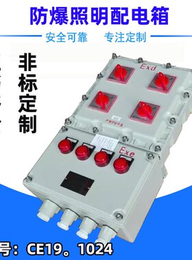 bxm51-3K防爆照明配电箱IIBT4铸铝开关箱电源检修箱IP54控制箱