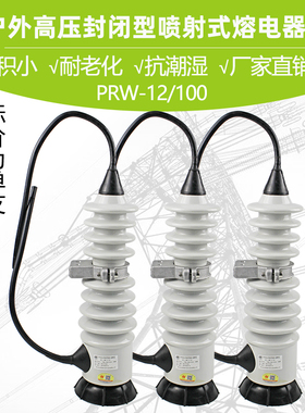 10KV户外高压封闭型喷射式熔断器PRW-12/100A 电力令克开关保险